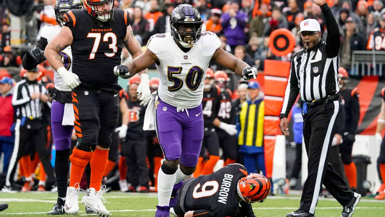 banner image